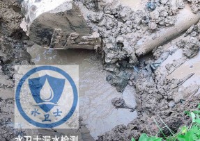 临湘水管漏水检测公司5